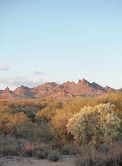 Anya Flower Free Pics Galleries