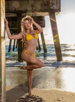 Scarlet Begonias Free Pics Galleries