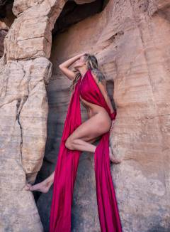 Scarlet Begonias Free Pics Galleries