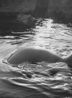 Carla Guetta Free Pics Galleries